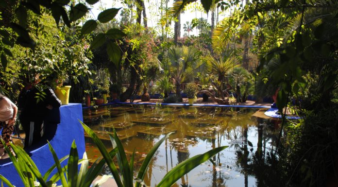 3 Botanical Gardens That Every Plant Lover Should Visit