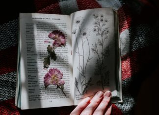 Artsy Hobbies You Can Try in a Small Apartment