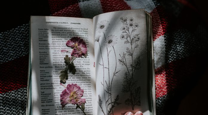 Artsy Hobbies You Can Try in a Small Apartment
