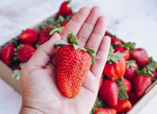 3 Food Rules You Don’t Need to Follow