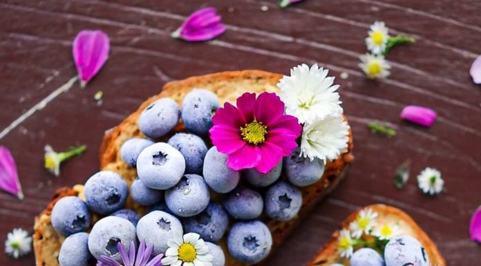 Katja Meier Will Convince You to Add Flowers to Your Breakfast