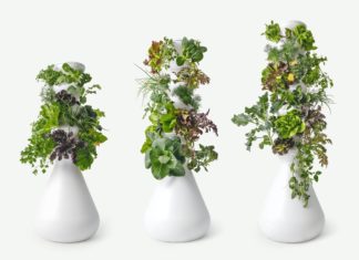 Uniquely Shaped Vases Are Taking the Home Décor World by Storm