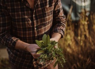 4 Good Reasons to Grow Your Own Herbs 4 Good Reasons to Grow Your Own Herbs