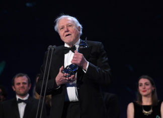 3 Calming TV Shows to Help You Relax Sir David Attenborough.