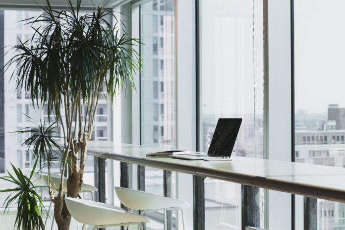 The benefits of office plants