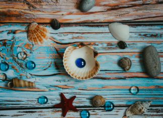 Seashell Décor Pieces That You Can Easily Make on Your Own DIY seashell projects