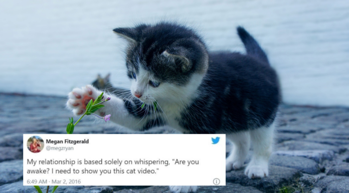 Hilarious Tweets Couples Shared About Moving in Together