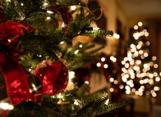 3 Reasons to Give Half Christmas Trees a Shot This Holiday Season Christmas tree