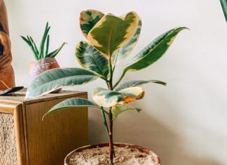 Craft Projects You Will Actually Use Plant pot