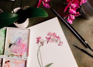 Invest Time in New Hobbies Before Investing Money