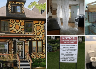 44+ Weird Home Designs That Freaked Out the Neighbors