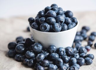 Berrylicious Frozen Yogurt Bites: A Cool and Delicious Treat! Blueberries
