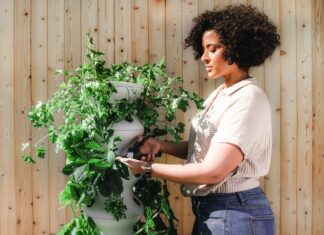 Outdoorsy DIY Hobbies Worth Trying This Summer Gardening