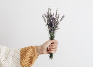Natural Fragrances to Liven Up Your Living Space Lavender