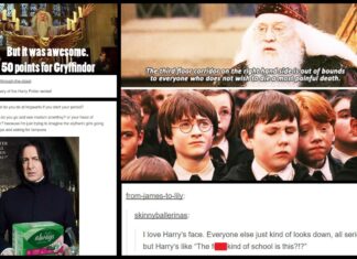 40+ Hilarious “Harry Potter” Tumblr Posts That Prove This Fandom is Truly Magical