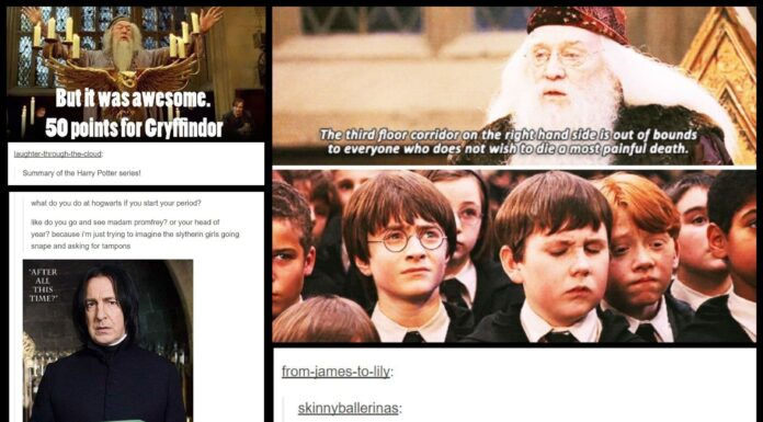 40+ Hilarious “Harry Potter” Tumblr Posts That Prove This Fandom is Truly Magical