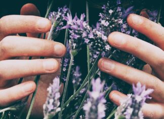 Three Nail Oils to Rescue Your Winter Nails Nails