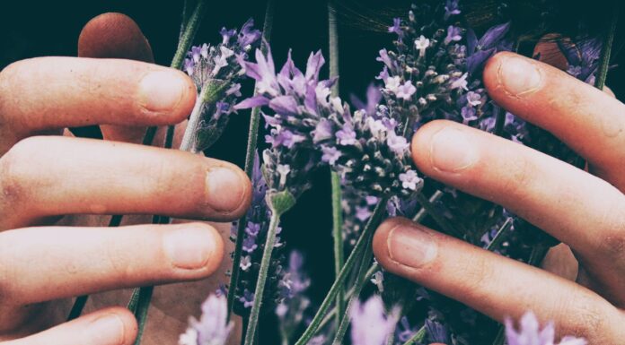 Three Nail Oils to Rescue Your Winter Nails Nails