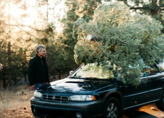 How to Safely Transport Your Christmas Tree: Tips for Car and Bicycle Transport your Christmas tree with a car
