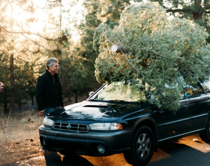Transport your Christmas tree with a car