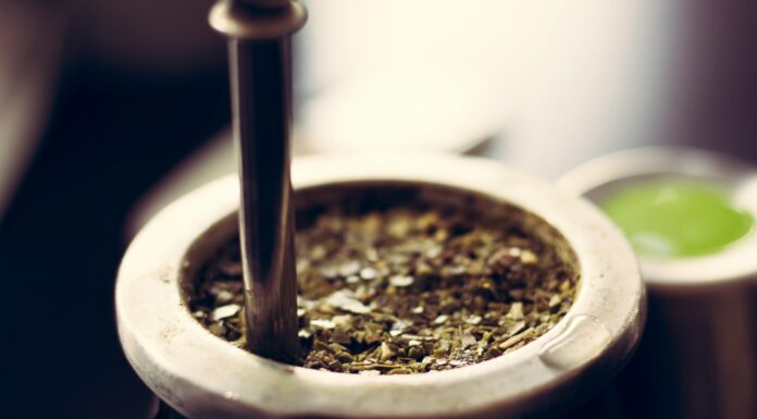 Argentina Celebrates National Mate Day: A Cultural Ritual Connecting Generations