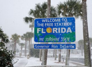 Historic Snowfall Blankets Florida Panhandle, Shattering Records Snow in Florida Panhandle Jan 2025