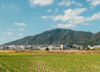 Tsunami Advisory Issued and Lifted After 6.6-Magnitude Earthquake Strikes Southwestern Japan Japan countryside, Kyushu, Japan