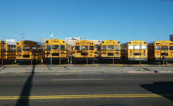LA-school-buses School buses, Los Angeles, United States.
