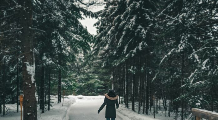 Glide Through Winter Magic: The Best Ice Skating Trails in Ontario Parks Ontario ice skating trails