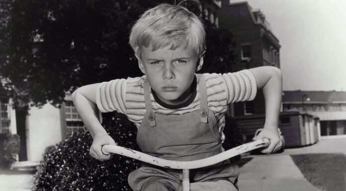 Remembering Jay North: The Enduring Legacy of TV’s Original Dennis the Menace Jay North death Dennis the Menace