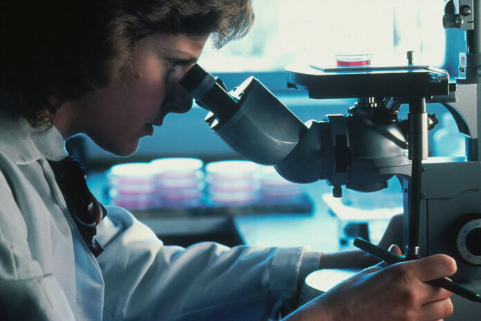 Immunotherapy new cancer treatment