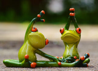 Leap Frog Mike Woods Dies